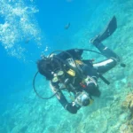 PULUZ Dual Handle Aluminium Tray Stabilizer with Dual Ball Aluminum Alloy Clamp for Underwater Camera Housings - Image 7