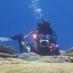 PULUZ Dual Handles Aluminium Alloy Tray Stabilizer for Underwater Camera Housings - Image 9