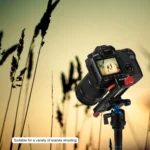 PULUZ Macro Focusing Rail Slider Close-up Shooting Tripod Head Quick Release Plate Holder - Image 10