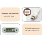 Mini DP to DVI Adapter Converter - Image 4