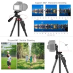 YUNTENG VCT-6808 Multi-Phone Bracket Tripod Mount with Ball Head and Remote Control - Image 4