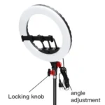 JMARY FM-14R Photography Light 14-inch Live Streaming Ring Light Photography LED Fill Light - Image 4