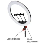 JMARY FM-21R With Remote Control Phone Clip 21-inch Dimmable LED Ring Light - Image 3