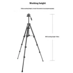 YUNTENG VCT-6828RM Selfie Live Streaming Photography Bracket Camera Phone Tripod Stand - Image 2