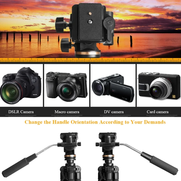 TBD0422344401_B5.webp QingZhuangShiDai Q111S Aluminum Alloy Mobile Phone Camera Photography Tripod - Image 6