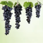 Simulation Fruit Simulation Grapes PVC with Cream Grape Shoot Props - Image 7