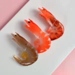 3 PCS Simulation Shrimp Camera Props Children Play House Toys - Image 7