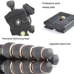 QingZhuangShiDai Q666C Portable Travel Photography Ball Head SLR Camera Carbon Fiber Tripod - Image 3