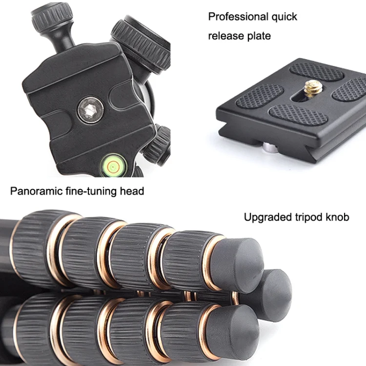 TBD0602795401_B2.webp QingZhuangShiDai Q666C Portable Travel Photography Ball Head SLR Camera Carbon Fiber Tripod - Image 3
