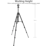 YUNTENG 6109 Camera Overhead Shot Tripod Universal Mobile Phone Live Broadcast Bracket - Image 2