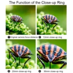 For Canon EOS Series VILTROX DG-C Camera Automatic Close-up Ring Macro Mount - Image 4