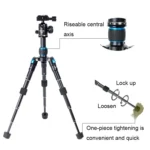 BEXIN V30 Adjustable Aluminum Alloy Desktop Camera Tripod Mini Portable Folding Live Tripod - Image 6