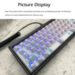 Hot Swap Shaft Wired RGB Back Light Customized Mechanical Keyboard Kit - Image 4