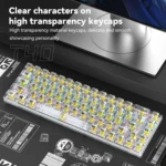 T-WOLF T40 68-Keys RGB Mixed Light Office Gaming Transparent Mechanical Keyboard - Image 6