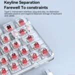 T-WOLF T40 68-Keys RGB Mixed Light Office Gaming Transparent Mechanical Keyboard - Image 7