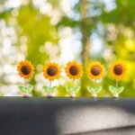 5pcs /Set Cute Sunflower Car Ornament Car Center Console Shaking Flowers Decoration - Image 3