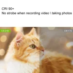 WS-300II Video Fill Light Dual Color Temperature LED Beauty Shooting Light - Image 9