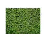 2.1m x 1.5m Green Leaves Wall Birthday party photography background cloth - Image 2