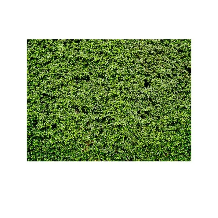 TBD0626512_1.webp 2.1m x 1.5m Green Leaves Wall Birthday party photography background cloth - Image 2