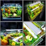 XY-60K Three Rows Aquarium Glass Fish Tank LED Aquatic Bracket Lamp, US Plug - Image 12