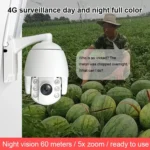 QX2 4G (EU Version) 1080P HD 360 Degrees Panoramic Day and Night Full-color IP66 Waterproof Smart Camera, Support Motion Detection / Two-way Voice / TF Card, AU Plug - Image 3
