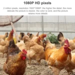 QX5 4G (EU Version) 2.0 Million Pixels 1080P HD 20X Zoom Dome Smart Camera, Support Infrared Night Vision / Motion Detection / Voice Intercom / TF Card, AU Plug - Image 4