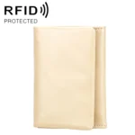 2031 Antimagnetic RFID Multifunctional Women Lock Buckle Large Capacity Hand Wallet with Card Slots