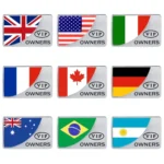 Universal Car Argentina Flag Rectangle Shape VIP Metal Decorative Sticker - Image 5