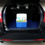 Car Portable Mini 6L EPS Incubator Box - Image 7