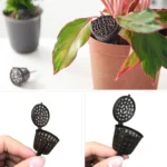 10PCS Bonsai Tools Gardening Products Gardening Tools Bonsai Fertilizer Boxes with Cover, Large Size: 6 x 4cm - Image 3