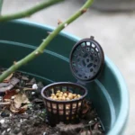 10PCS Bonsai Tools Gardening Products Gardening Tools Bonsai Fertilizer Boxes with Cover, Large Size: 6 x 4cm - Image 5