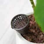 10PCS Bonsai Tools Gardening Products Gardening Tools Bonsai Fertilizer Boxes with Cover, Small Size: 4 x 3cm - Image 4