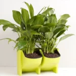 Plant Wall Vertical Indoor and Outdoor Balcony Wall-mounted Flower Pots Creative Combination of Resin Plastic Flower Pots with Removable Pot - Image 2