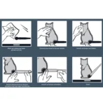 Vehicle Car Rear Windshield Window Wiper Reflective Self-Adhesive Cat Moving Tail Vinyl Decal Sticker - Image 5
