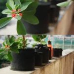 1 Gallon Planting Grow Bag Thickened Non-woven Aeration Fabric Pot Container with Handle - Image 9