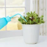 DSH-03 Portable Watering Sprinkler Bottle Squeeze Watering Sprinkler, Random Color Delivery - Image 8