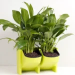 PP Planter Flower Pot Wall Hanging Garden Hanging Stackable Garden Supplies - Image 2