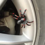 4 PCS Universal Spider Shape Car Motor Bicycle Tire Valve Caps - Image 7