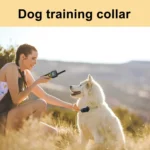 Tsattine T10 IP68 Waterproof 2000FT Dog Training Device with LCD Light - Image 6
