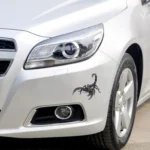 A18 Animal Pattern Car Body Random Stickers - Image 5