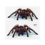 A21 Animal Pattern Car Body Random Stickers - Image 2