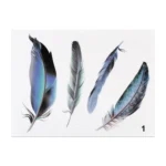 Feather Car Body Random Stickers, Pattern 1 - Image 2