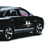 20 PCS Car Body Bumper Cat Vinyl Decal Window Sticker, Size: 17.8x10.8cm - Image 4