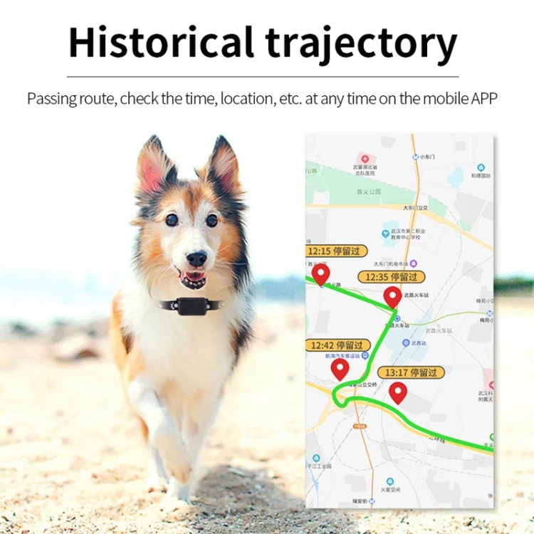 CRP5918_10.webp P03 2G Waterproof Pet GPS Tracker GPS+AGPS+WiFi+LBS Locator - Image 11