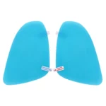 Car PET Rearview Mirror Protective Window Clear Anti-fog Waterproof Rain Shield Film - Image 2