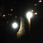 SNF-0092 White Light Solar Lantern Lighting Bulb Outdoor IP44 Waterproof LED One for Two Lighting System Split Garden Lamp - Image 10