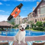 RC-302B Pet Bark Stopper Electric Shock Dog Training Collar Anti-interference Stop Calling Device - Image 7