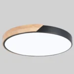 Wood Macaron LED Round Ceiling Lamp, Stepless Dimming - Image 7