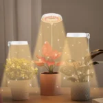 10W 48 LEDs Succulent Plant Grow Fill Light - Image 6