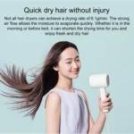 Original Xiaomi Mijia H300 Negative Ion Quick Drying Electric Hair Dryer, US Plug - Image 4